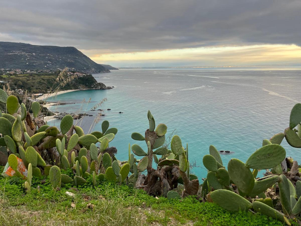 Bella Vista