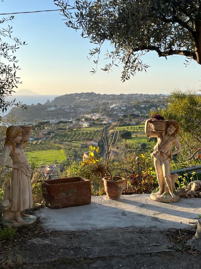 Bella Vista Capo Vaticano